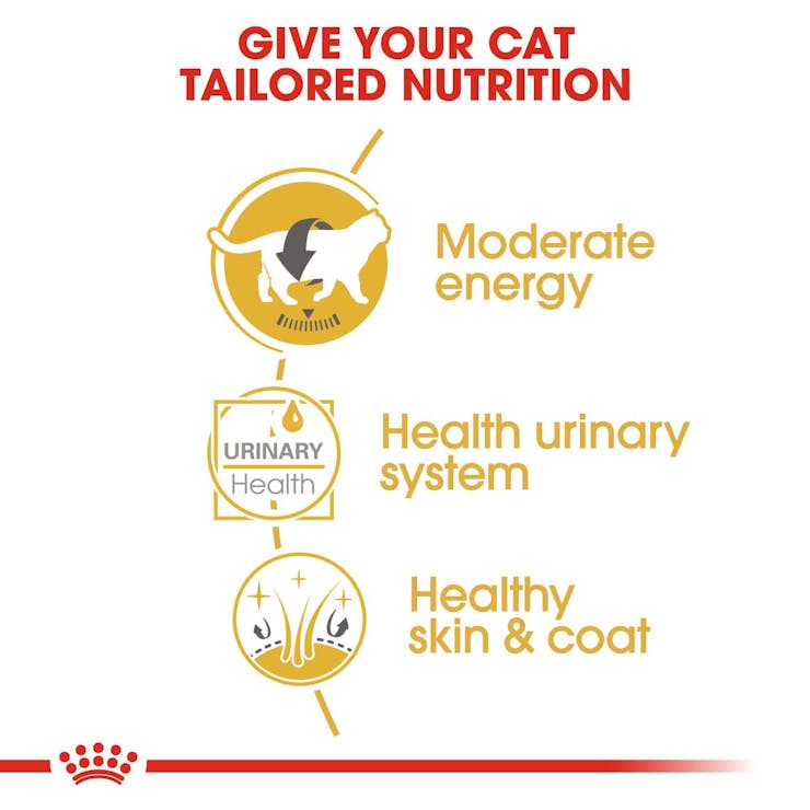 Royal Canin Feline Breed Nutrition British Shorthair Cat Wet Food 85g