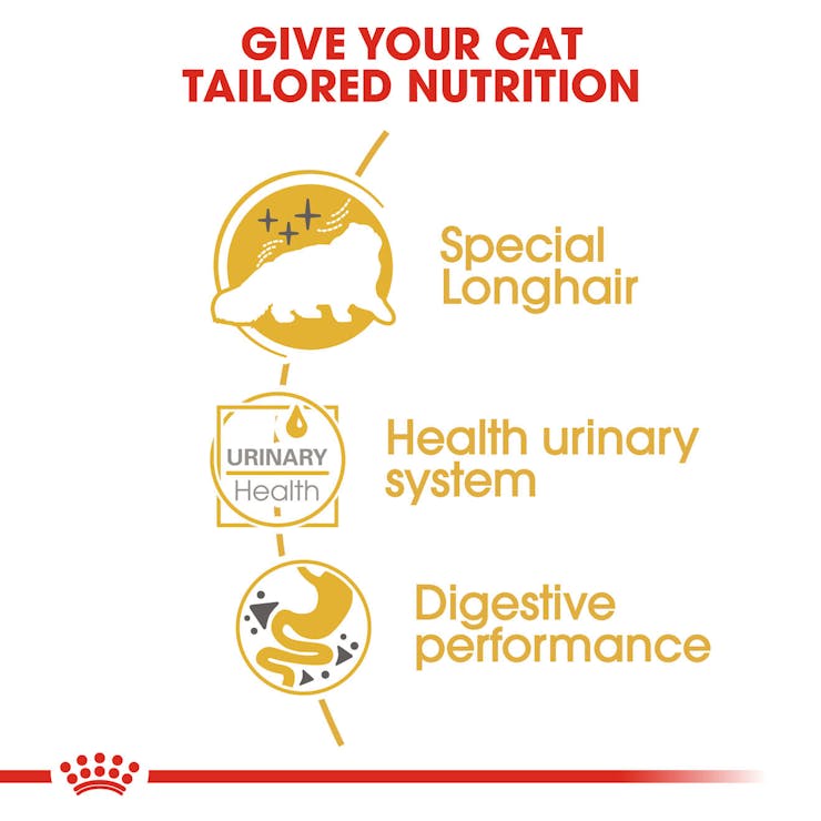 Royal Canin Feline Breed Nutrition Persian Adult Cat Wet Food 85g