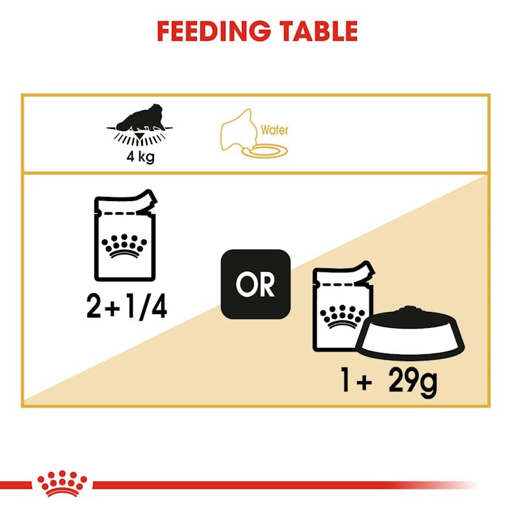 Royal Canin Feline Breed Nutrition Persian Adult Cat Wet Food 85g