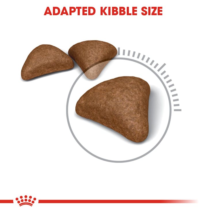 Royal Canin Feline Care Nutrition Hairball Care Adult Cat Dry Food 2kg