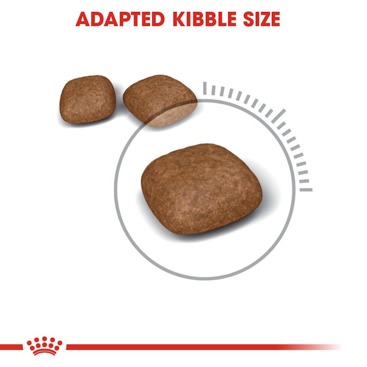 Royal Canin Feline Care Nutrition Urinary Care Adult Cat Dry Food 2kg