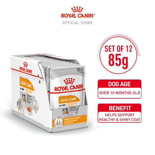 Royal Canin Canine Care Nutrition Coat Care Dog All Sizes Wet Food 85g x 12