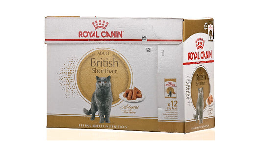 Royal Canin Feline Breed Nutrition British Shorthair Cat Wet Food 85g x 12