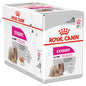 Royal Canin Canine Care Nutrition Exigent All Sizes Dog Wet Food 85g x 12