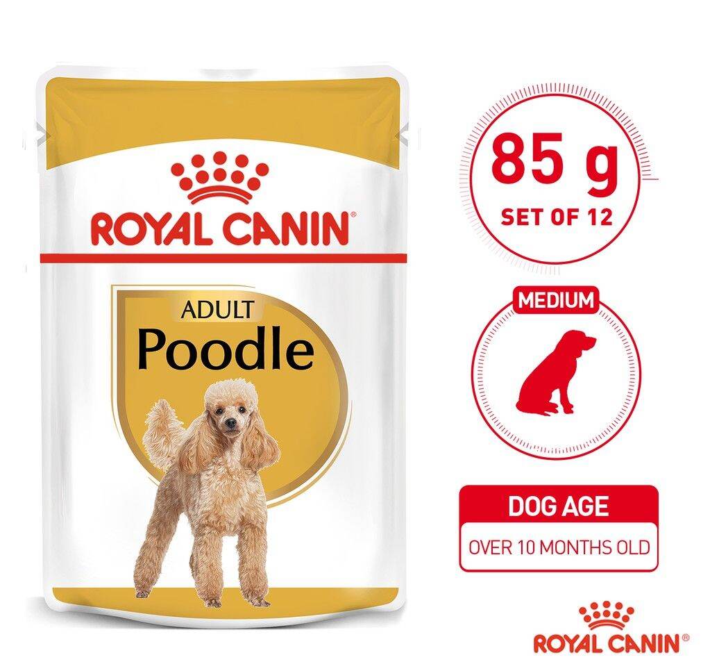 Royal Canin Breed Health Nutrition Poodle Adult Dog Wet Food 85g x 12