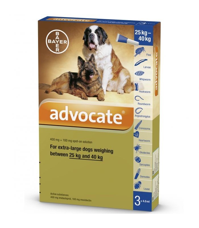 Advocate Flea & Tick Spot On for Extra large Dogs 25kg to 40kg (3 x 4ml pipettes)