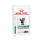 Royal Canin Veterinary Health Nutrition Diabetic Adult Cat Wet Food 85g