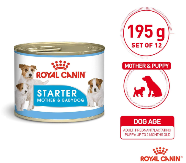 Royal Canin Canine Health Nutrition Starter Mousse Mother and Babydog Wet Food 195g x 12