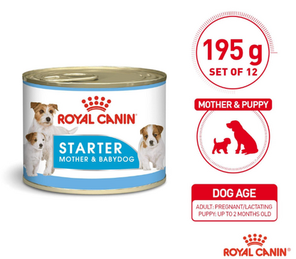 Royal Canin Canine Health Nutrition Starter Mousse Mother and Babydog Wet Food 195g x 12