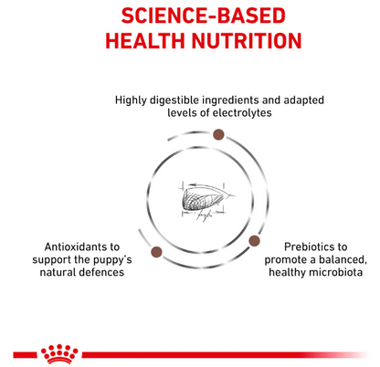 Royal Canin Veterinary Diet Gastrointestinal Puppy Dog Dry Food 1kg