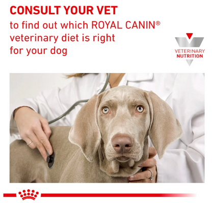 Royal Canin Veterinary Diet Gastrointestinal Adult Dog Wet Food 400g