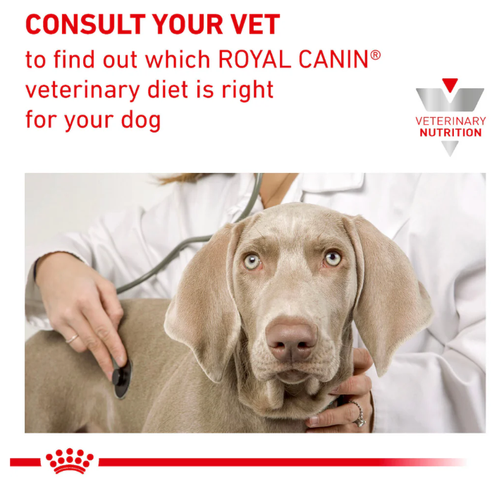 Royal Canin Veterinary Diet Hepatic Adult Dog Wet Food 420g x 12