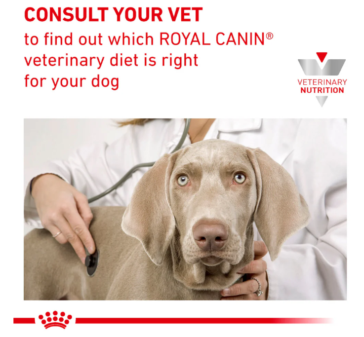 Royal Canin Veterinary Diet Hypoallergenic Adult Dog Wet Food 400g