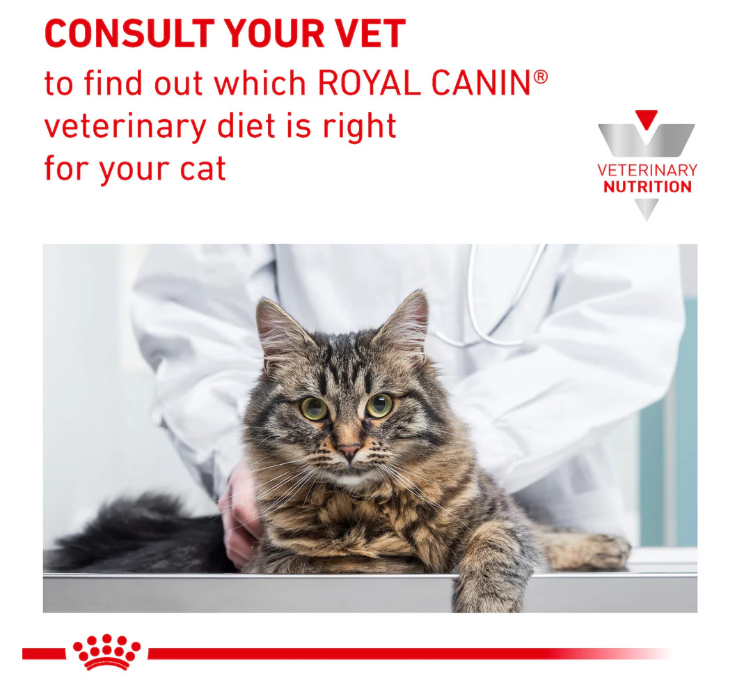 Royal Canin Veterinary Diet Urinary S/O Adult Cat Wet Food 85g