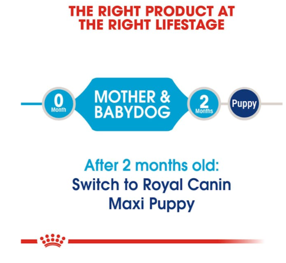 Royal Canin Size Health Nutrition Maxi Starter Mother & Babydog Dry Food 4kg