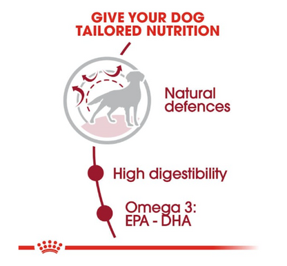 Royal Canin Size Health Nutrition Medium Adult Dog Dry Food 15kg