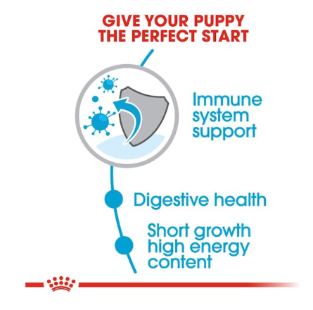 Royal Canin Size Health Nutrition Medium Puppy Dog Dry Food 4kg