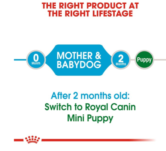 Royal Canin Size Health Nutrition Mini Starter Mother & Babydog Dry Food 4kg