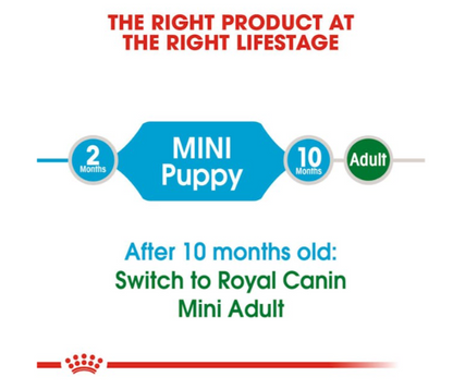 Royal Canin Size Health Nutrition Mini Puppy Dog Dry Food 800g