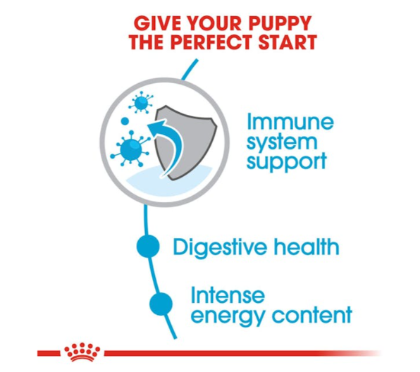 Royal Canin Size Health Nutrition Mini Puppy Dog Dry Food 800g