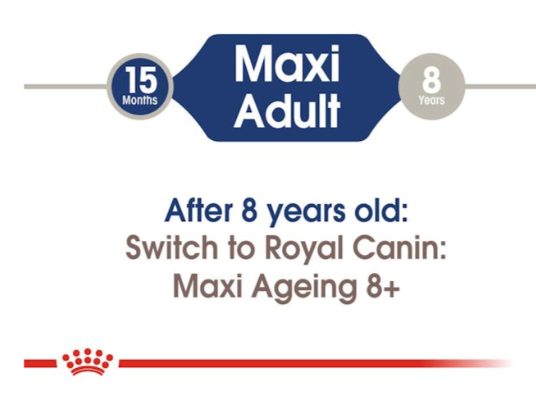 Royal Canin Size Health Nutrition Maxi Adult Dog Wet Food 140g