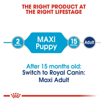 Royal Canin Size Health Nutrition Maxi Puppy Dog Wet Food 140g x 10