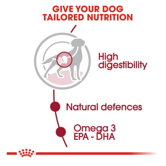 Royal Canin Size Health Nutrition Medium Adult Dog Wet Food 140g