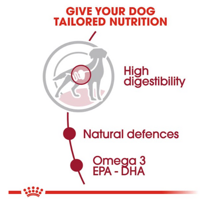 Royal Canin Size Health Nutrition Medium Adult Dog Wet Food 140g