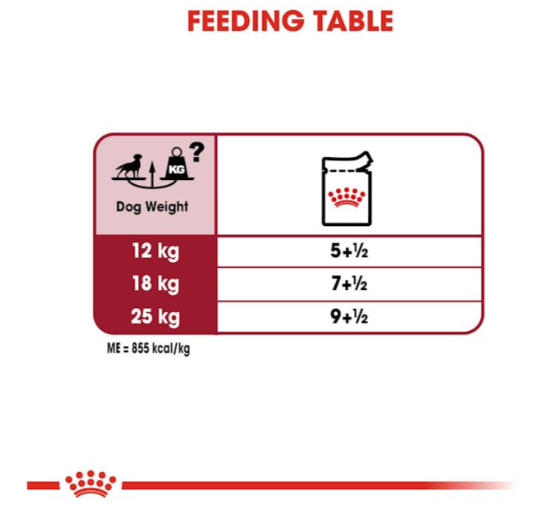 Royal Canin Size Health Nutrition Medium Adult Dog Wet Food 140g