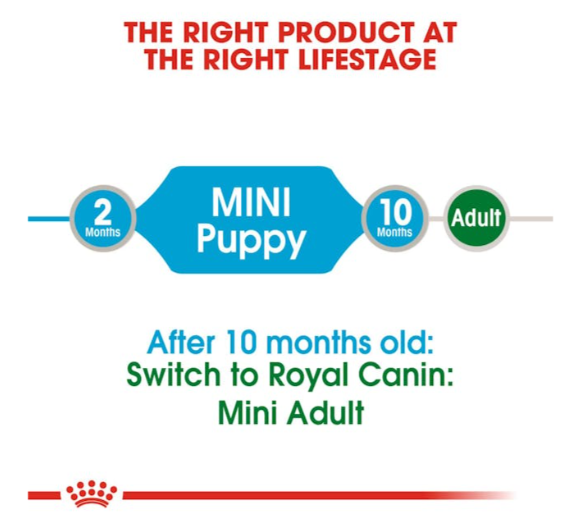 Royal Canin Size Health Nutrition Mini Puppy Dog Wet Food 85g x 12