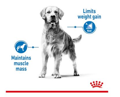 Royal Canin Canine Care Nutrition Medium Lightweight Care Adult Dog Dry Food 3kg