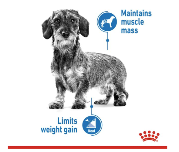 Royal Canin Canine Care Nutrition Mini Light Weight Care Adult Dog Dry Food 3kg