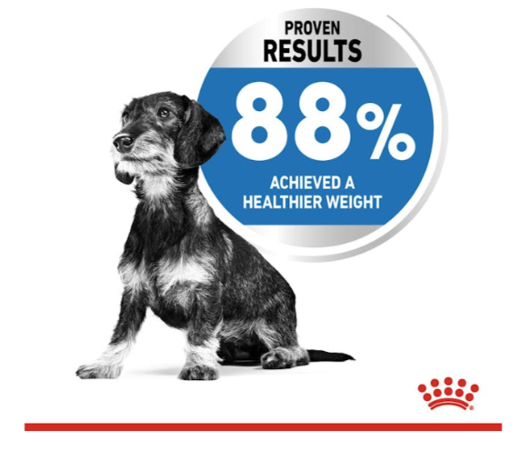 Royal Canin Canine Care Nutrition Mini Light Weight Care Adult Dog Dry Food 3kg