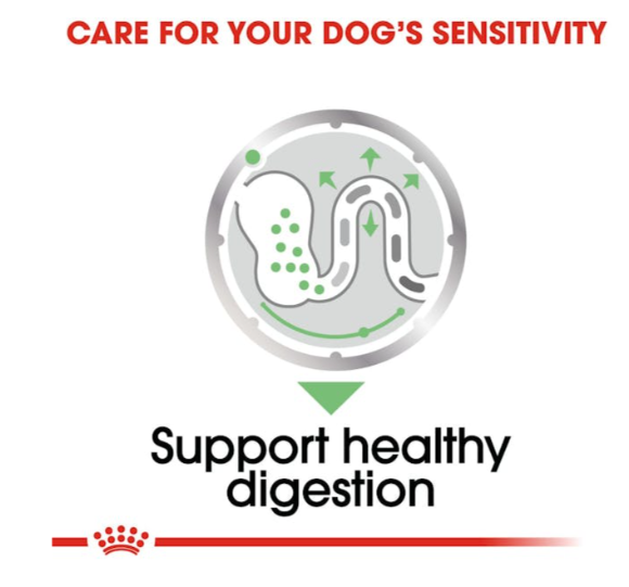 Royal Canin Canine Care Nutrition Digestive Care All Sizes Dog Wet Food 85g x 12