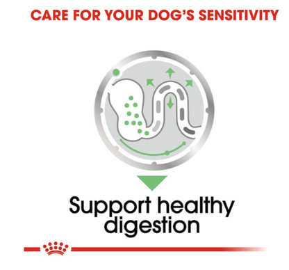 Royal Canin Canine Care Nutrition Digestive Care All Sizes Dog Wet Food 85g x 12