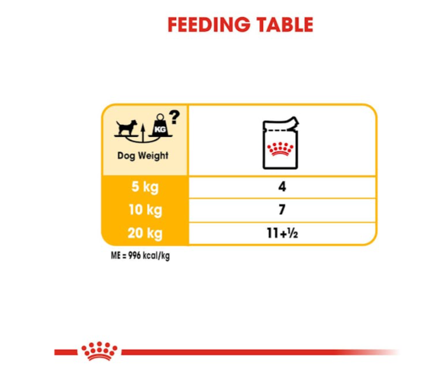 Royal Canin Canine Care Nutrition Dermacomfort All Sizes Dog Wet Food 85g