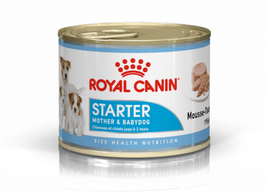 Royal Canin Canine Health Nutrition Starter Mousse Mother and Babydog Wet Food 195g