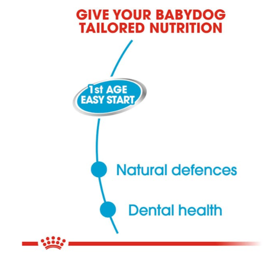 Royal Canin Canine Health Nutrition Starter Mousse Mother and Babydog Wet Food 195g