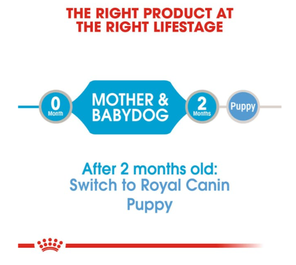 Royal Canin Canine Health Nutrition Starter Mousse Mother and Babydog Wet Food 195g