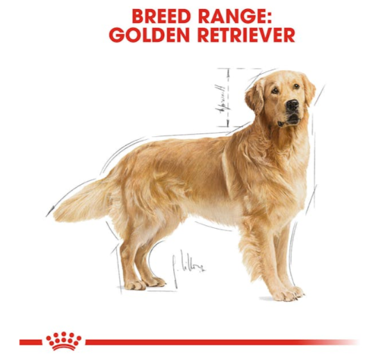 Royal Canin Breed Health Nutrition Golden Retriever Adult Dog Dry Food 3kg