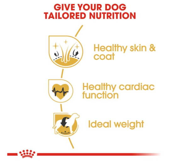 Royal Canin Breed Health Nutrition Golden Retriever Adult Dog Dry Food 3kg