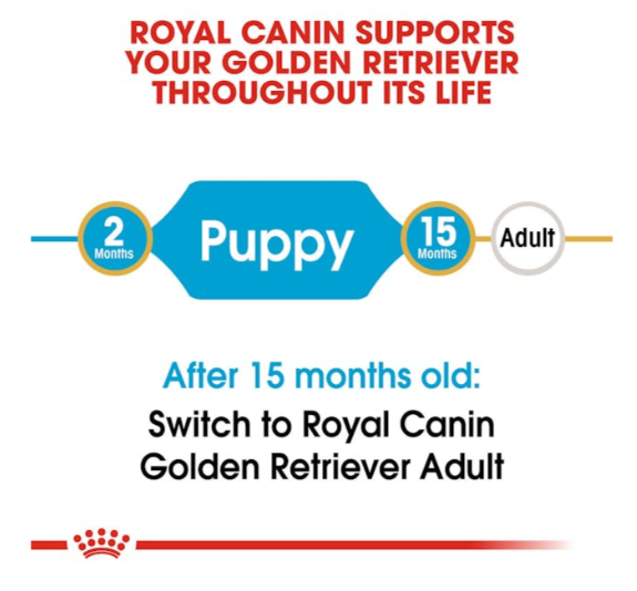 Royal Canin Breed Health Nutrition Golden Retriever Puppy Dog Dry Food 3kg