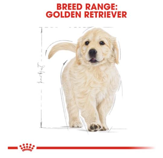 Royal Canin Breed Health Nutrition Golden Retriever Puppy Dog Dry Food 3kg