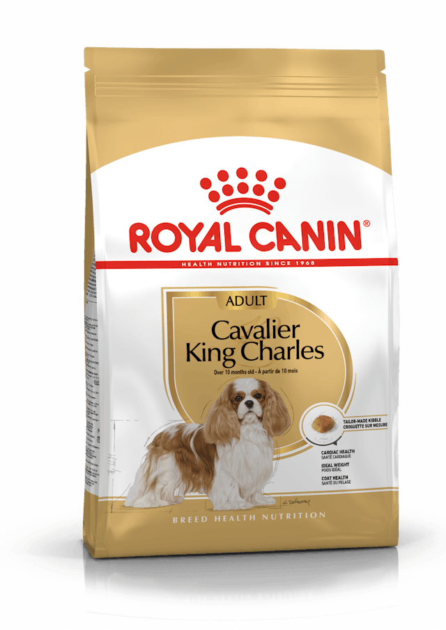 Royal Canin Breed Health Nutrition Cavalier King Charles Adult Dog Dry Food 3kg