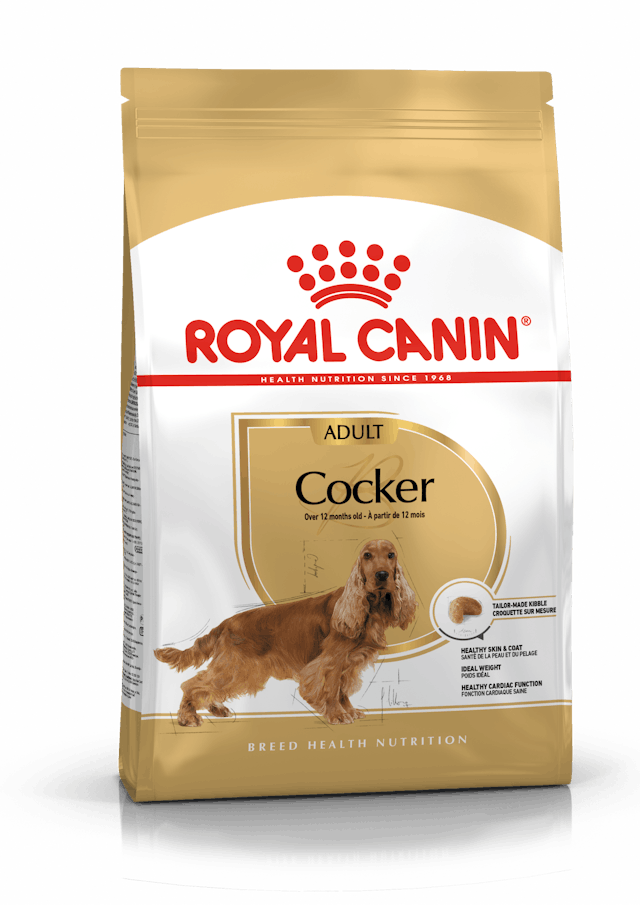 Royal Canin Breed Health Nutrition Cocker Adult Dog Dry Food 3kg