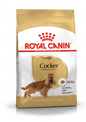 Royal Canin Breed Health Nutrition Cocker Adult Dog Dry Food 3kg