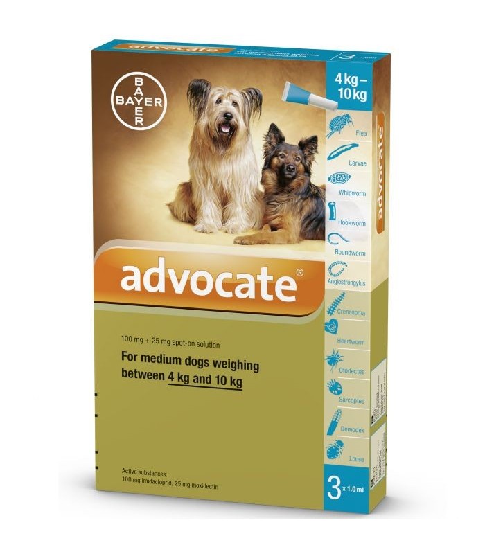 Advocate Flea & Tick Spot On for Medium Dogs 4kg to 10kg (3 x 1ml pipettes)