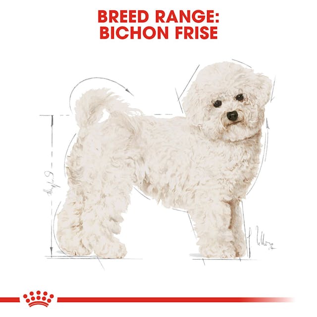 Royal Canin Breed Health Nutrition Bichon Frise Adult Dog Dry Food 500g