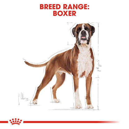 Royal Canin Breed Health Nutrition Boxer Adult Dog Dry Food 3kg