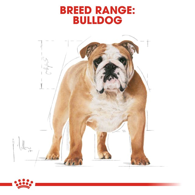 Royal Canin Breed Health Nutrition Bulldog Adult Dog Dry Food 3kg